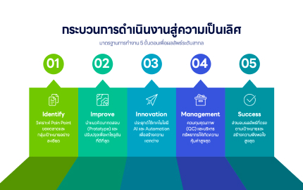 Process Infographics